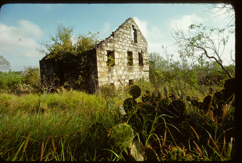 Czerner House